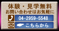 ₢킹͂炩